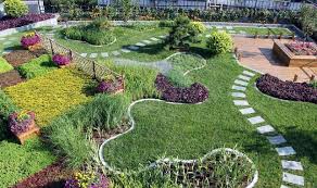 松江城市绿化带种植什么植物好
