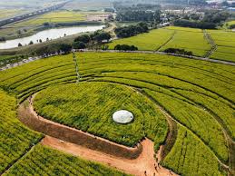 FIFA2026官方网站入口 别墅靠山园林景观设计